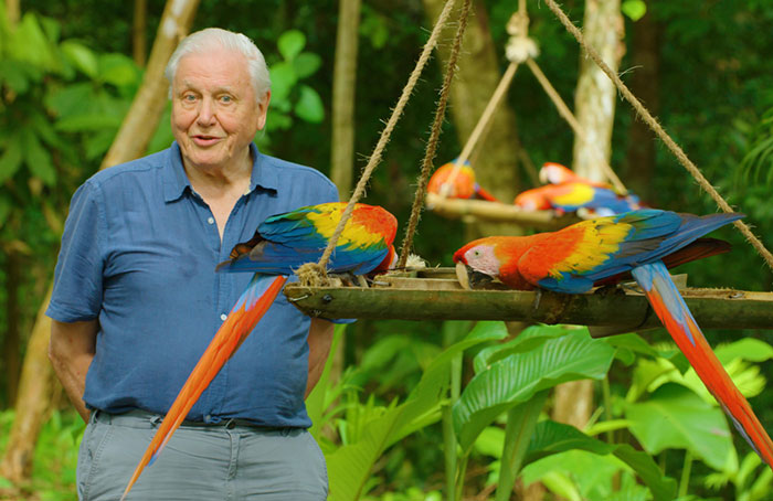 Sir David Attenborough, a 95 éves természettudós előtt tiszteleg a Spektrum