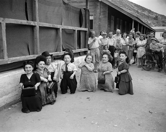 A hét törpe és a „halál angyala” Auschwitzban